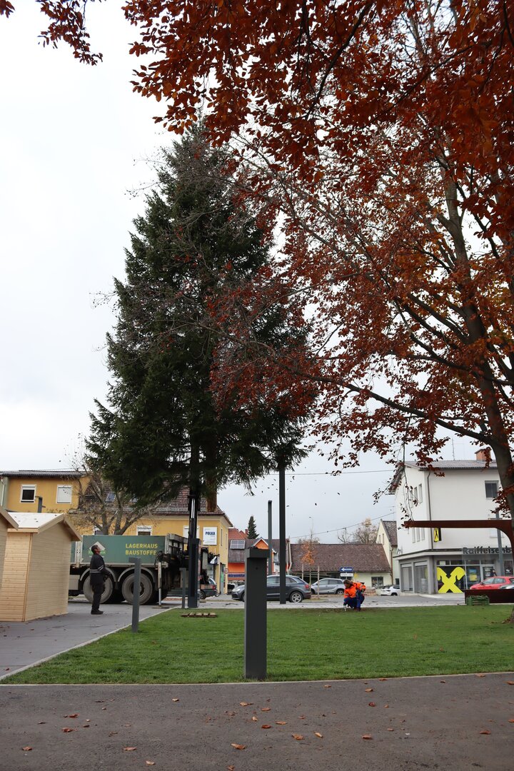 IMG_5290.jpg IMG_5290.jpg