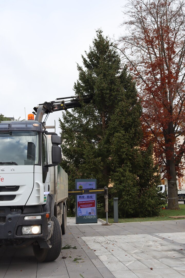 IMG_5304.jpg IMG_5304.jpg