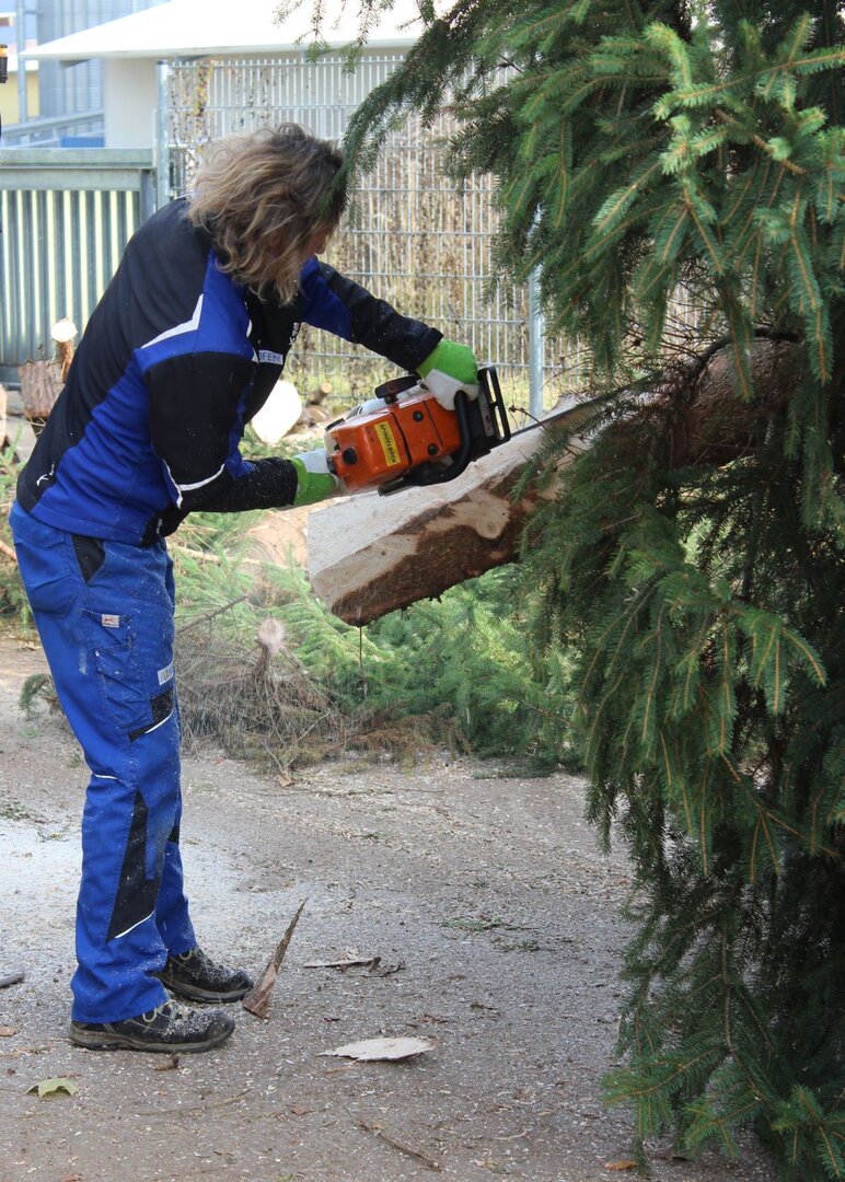 Foto: Stadtgemeinde Althofen