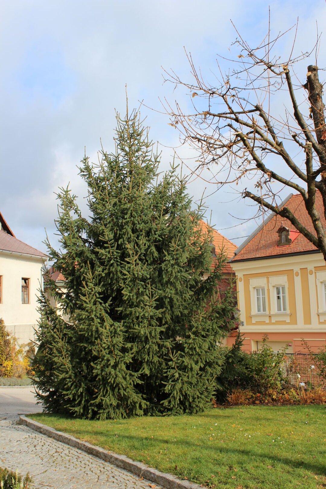Foto: Stadtgemeinde Althofen