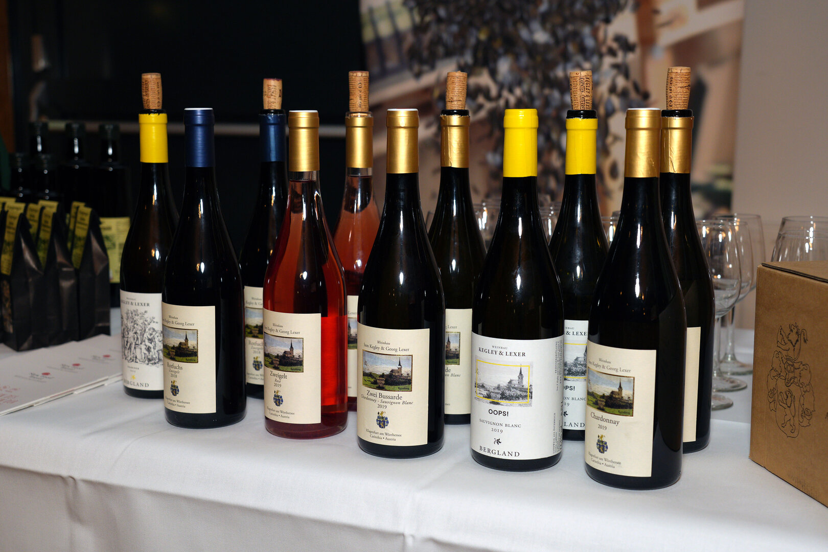 Foto: ORF/Robert Schumann