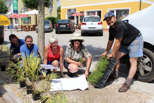 Neue Bepflanzung in der Innenstadt (Foto: Stadtgemeinde Althofen) Neue Bepflanzung in der Innenstadt (Foto: Stadtgemeinde Althofen)